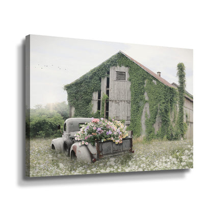 Charming Rustic Farm Scene with Flowers in Vintage Truck Surrounded
