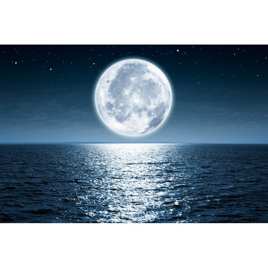 “Serene Ocean View Under a Glowing Full Moon - Tranquil Night Landscape Oil Painting”