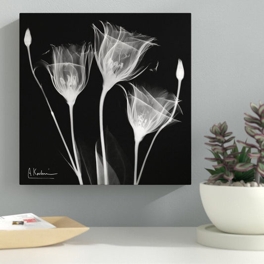 Elegant Gentian Flowers: Contemporary Black and White Oil Painting