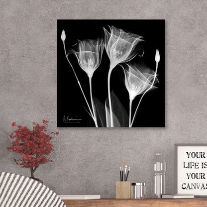 Elegant Gentian Flowers: Contemporary Black and White Oil Painting