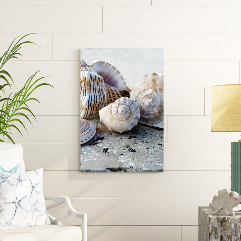 Coastal Serenity: Elegant Oil Painting of Seashell Collection