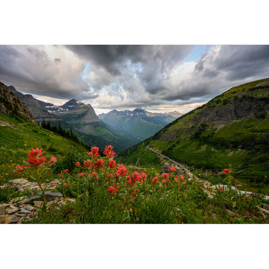 Stunning Glacier National Park Landscape with Wildflowers Oil Painting
