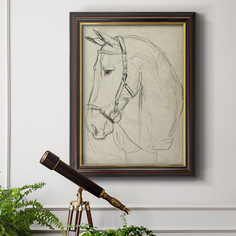 Elegant Horse Portrait in Bridle - Timeless Oil Sketch for Equine Art Lovers
