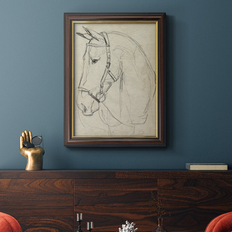 Elegant Horse Portrait in Bridle - Timeless Oil Sketch for Equine Art Lovers
