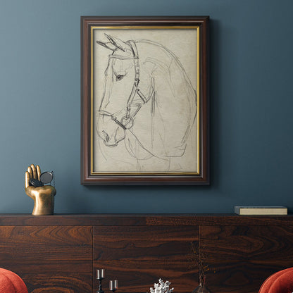 Elegant Horse Portrait in Bridle - Timeless Oil Sketch for Equine Art Lovers