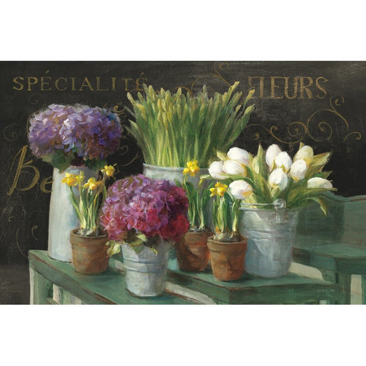 Vibrant Spring Flowers in Pots Against a Dark Background