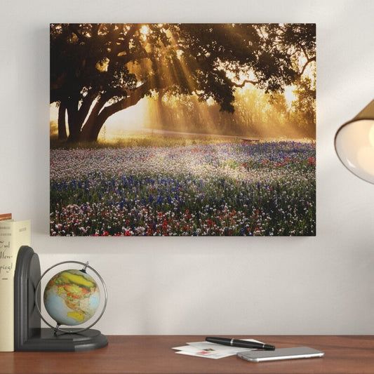 Enchanting Sunrise Over a Colorful Meadow Landscape Oil Painting