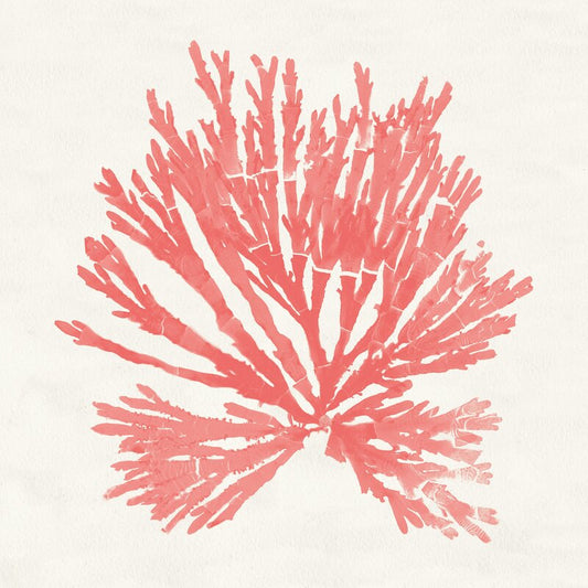 Coral Artistry: Elegant Pacific Sea Moss Oil Painting for Coastal Decor