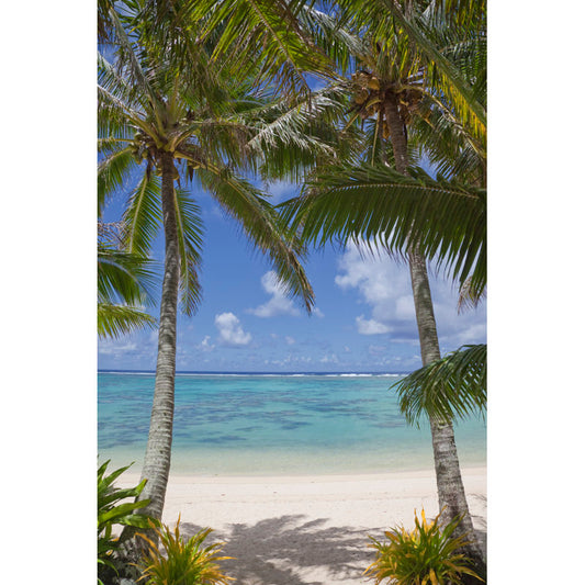 Tropical Serenity: Majestic Palm Trees Against a Tranquil Beach Landscape Painting