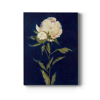 Elegant Peony Flower Oil Painting on Dark Background for Home Decor