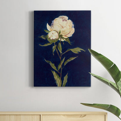 Elegant Peony Flower Oil Painting on Dark Background for Home Decor