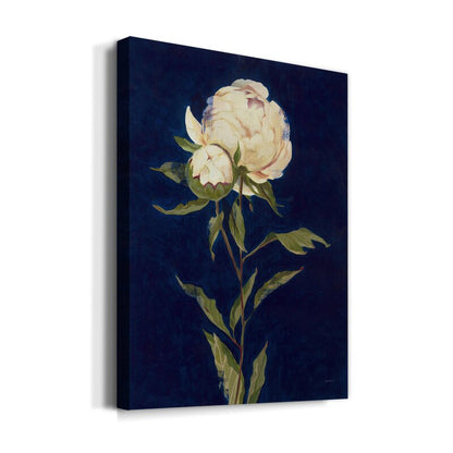 Elegant Peony Flower Oil Painting on Dark Background for Home Decor