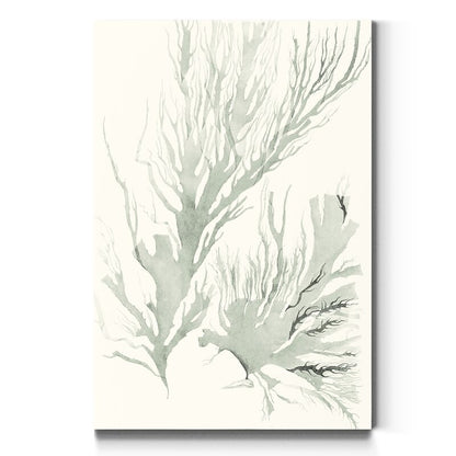 Serene Sage Green Seaweed Abstract Oil Painting for Modern Home Decor