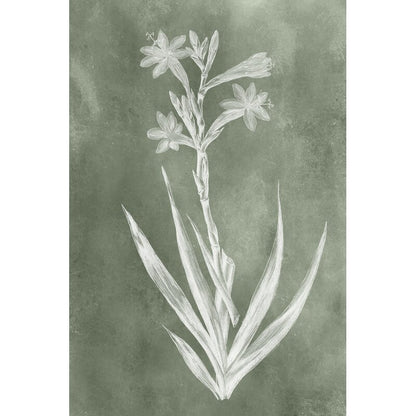 Elegant Sage Floral Oil Painting for Home Decor and Art Lovers