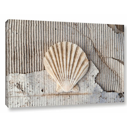 Coastal Elegance: Stunning Oil Painting of Seashells on Textured Background