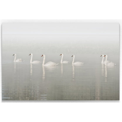 Elegant Swans Gliding through Misty Waters - Serene Oil Painting for Home Décor