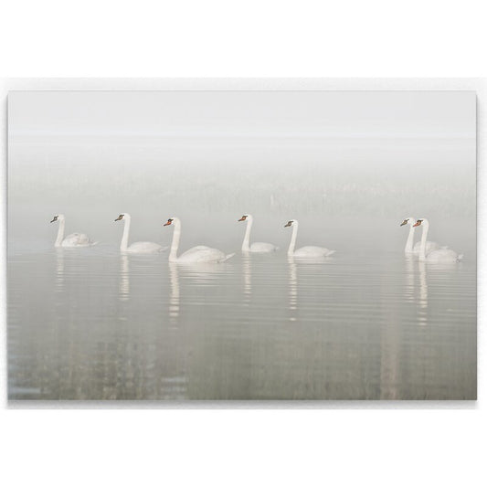 Elegant Swans Gliding through Misty Waters - Serene Oil Painting for Home Décor