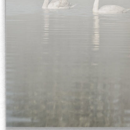 Elegant Swans Gliding through Misty Waters - Serene Oil Painting for Home Décor