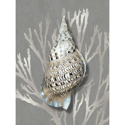 Elegant Coral Shell Art on Gray Background - Coastal Oil Painting