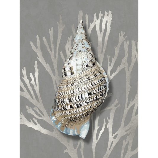 Elegant Coral Shell Art on Gray Background - Coastal Oil Painting