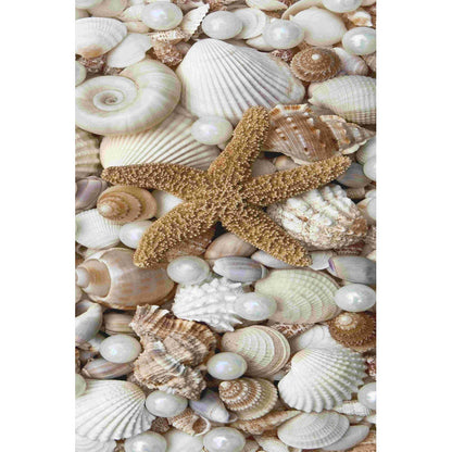 Coastal Harmony: Elegant Shells and Starfish Oil Painting