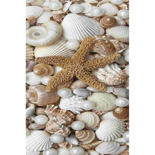 Coastal Harmony: Elegant Shells and Starfish Oil Painting