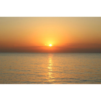 Serene Sunset Over Tranquil Waters - Stunning Oil Painting