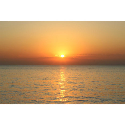 Serene Sunset Over Tranquil Waters - Stunning Oil Painting
