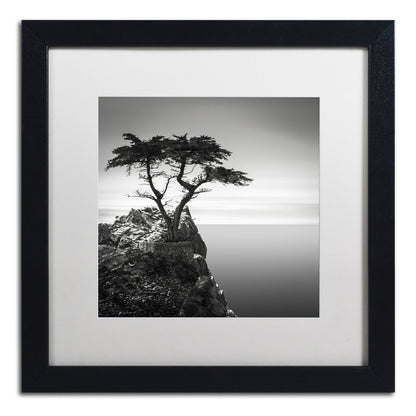 Serene Coastal Beauty: The Lone Cypress Oil Painting