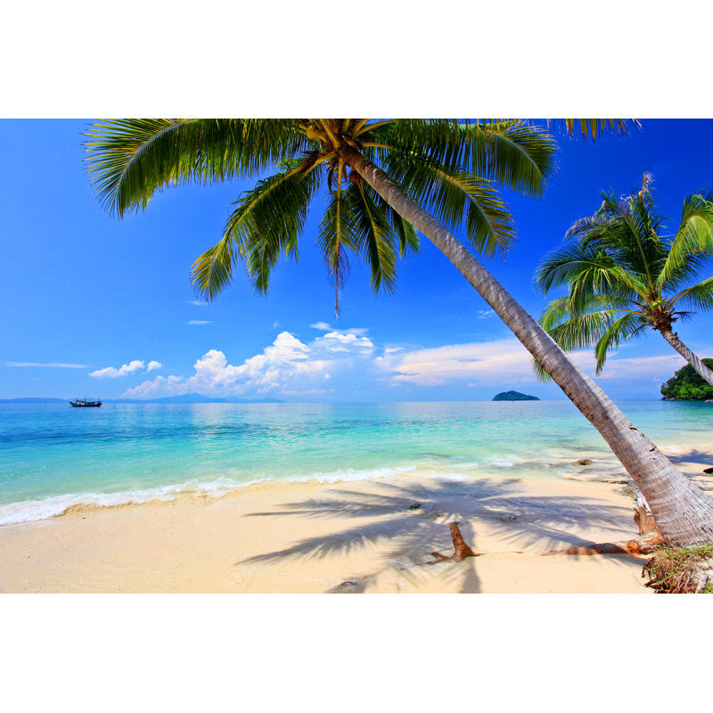 Vibrant Tropical Beach Scene with Palm Trees and Crystal Clear Water