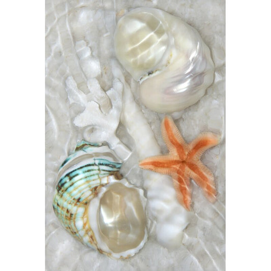 Elegant Underwater Seashells and Starfish Oil Painting