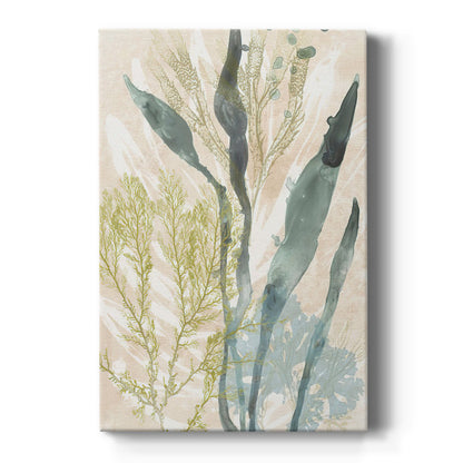 Serene Coastal Flora Oil Painting for Tranquil Home Decor