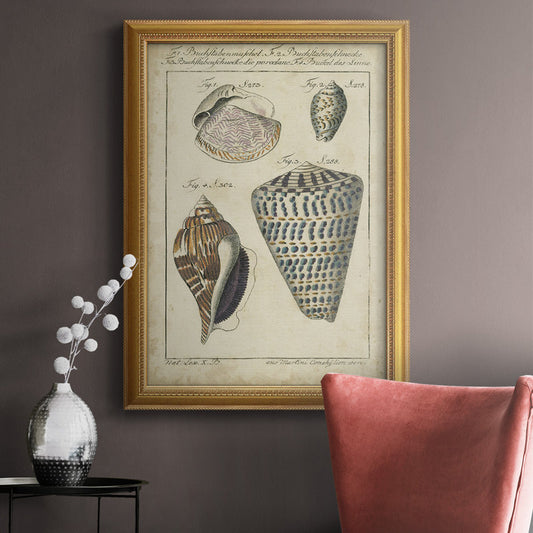 Vintage Shell Study Elegant Oil Painting for Coastal Home Decor
