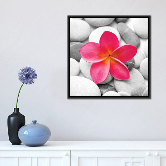 Zen Blossoms: Tranquil Pink Flower Among Serene Stones Oil Painting