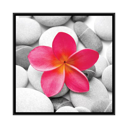 Zen Blossoms: Tranquil Pink Flower Among Serene Stones Oil Painting
