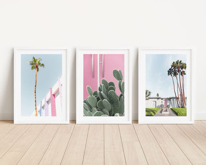 Tropical Palm and Cactus Trio with Pink Door Artwork for Modern Decor