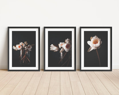Elegant Trio of Oil Paintings: Water Lilies Blossom Collection