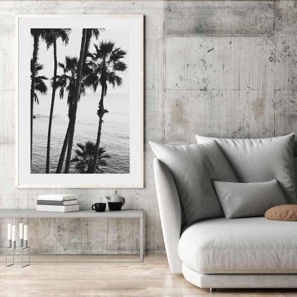 Black and White Coastal Serenity at Laguna Beach with Palm Trees