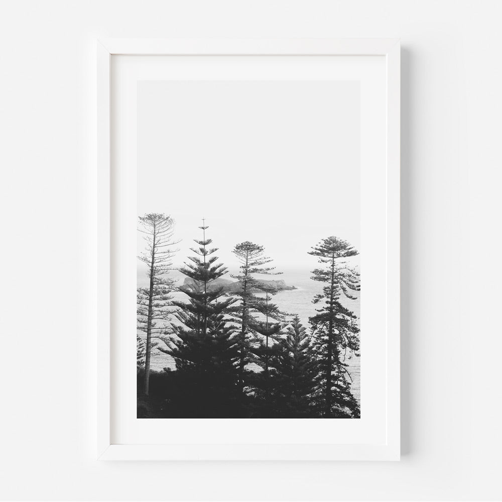 Serene Black and White Coastal Landscape with Majestic Pines