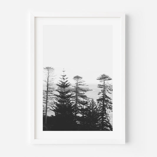 Serene Black and White Coastal Landscape with Majestic Pines