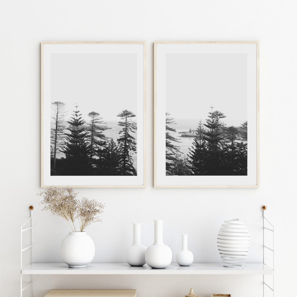 Serene Black and White Coastal Landscape with Majestic Pines