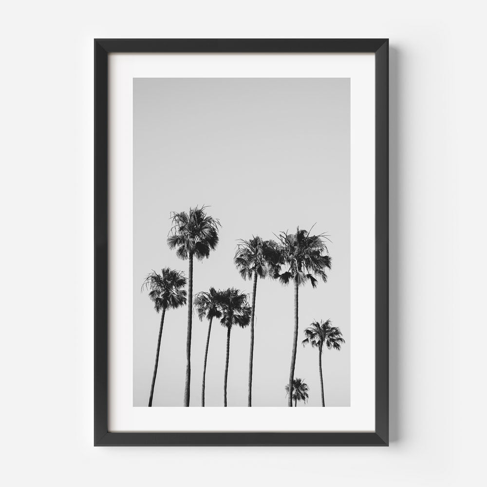 Monochrome Serenity: Elegant Palm Trees Oil Painting for Modern Decor