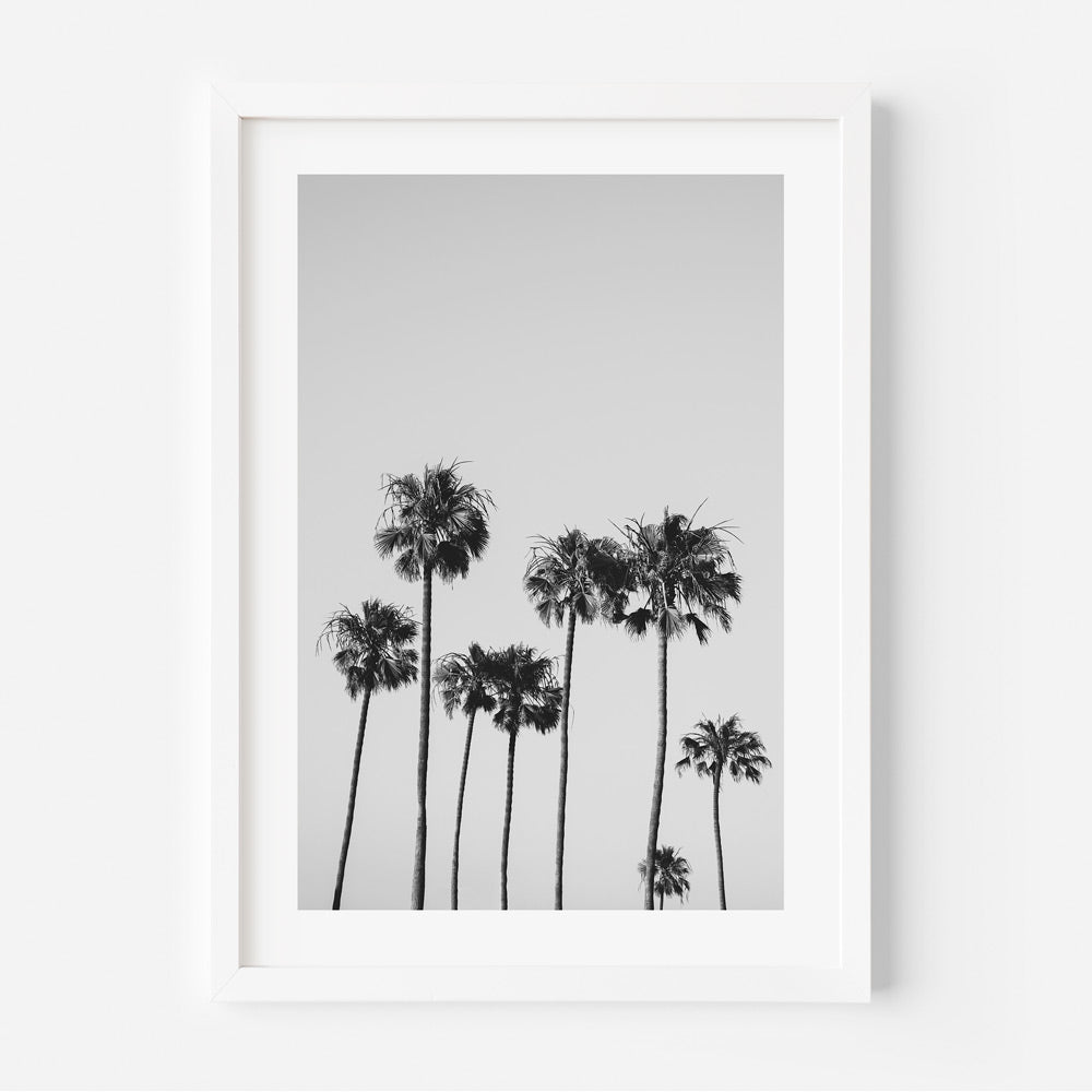 Monochrome Serenity: Elegant Palm Trees Oil Painting for Modern Decor