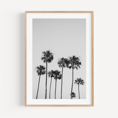 Monochrome Serenity: Elegant Palm Trees Oil Painting for Modern Decor