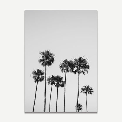 Monochrome Serenity: Elegant Palm Trees Oil Painting for Modern Decor