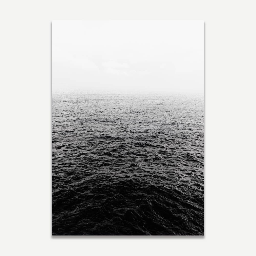 Black and White Cactus and Ocean Art Set for Modern Home Decor