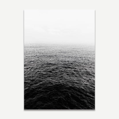 Black and White Cactus and Ocean Art Set for Modern Home Decor
