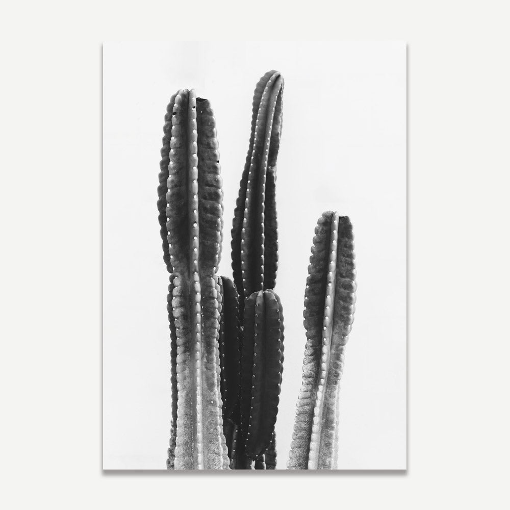 Black and White Cactus and Ocean Art Set for Modern Home Decor