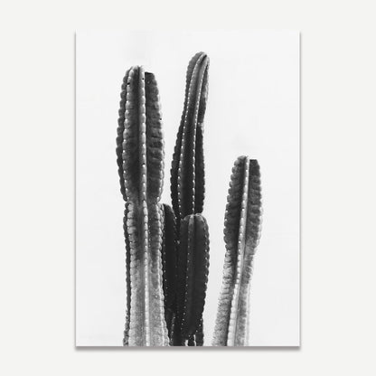 Black and White Cactus and Ocean Art Set for Modern Home Decor