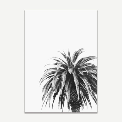 Elegant Black and White Palm Tree Oil Painting for Minimalist Home Decor